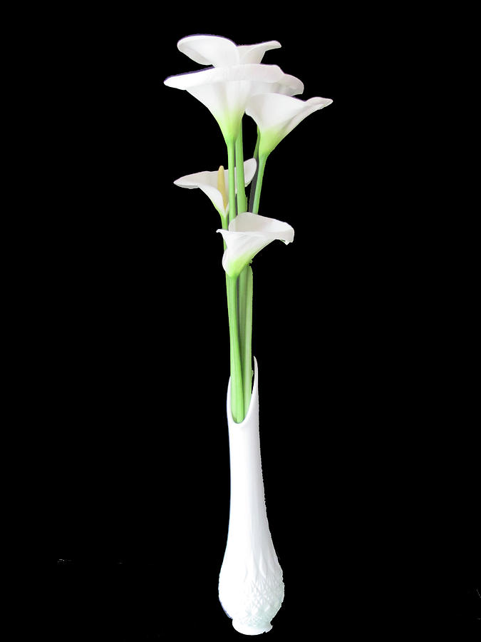 Rose Photograph - Calla Lily Bouquet Still Life by Judith Turner