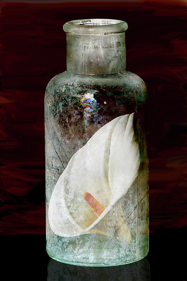 Calla Lily In A Bottle Photograph by Phyllis Denton