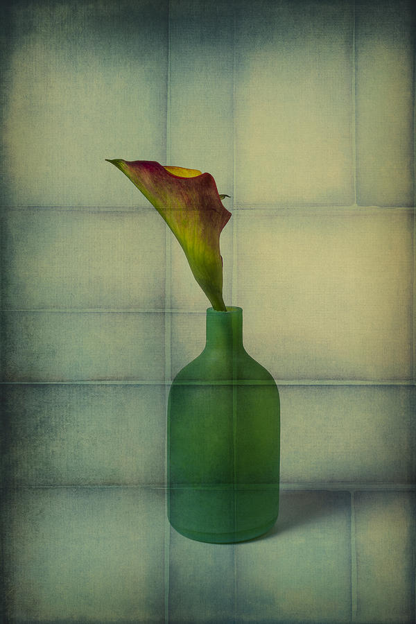 Calla Lily In Green Vase Photograph by Garry Gay