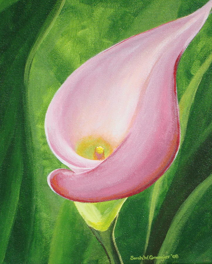 Flowers Still Life Painting - Calla Lily by Sarah Grangier