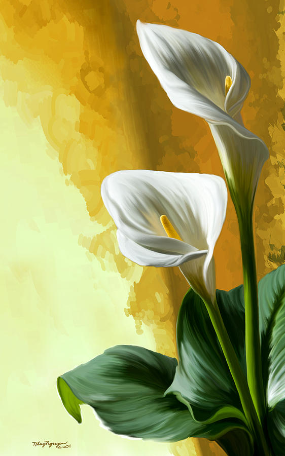 Calla lily Digital Art by Thanh Thuy Nguyen