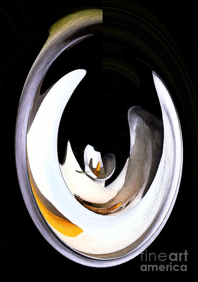 Abstract Photograph - Calla Twist by Norman Andrus