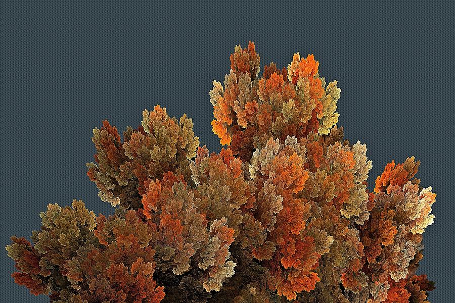 Callahan Grove Autumn Gray Digital Art by Doug Morgan