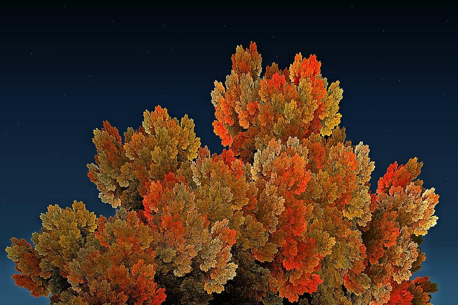 Callahan Grove Fall Evening Digital Art by Doug Morgan