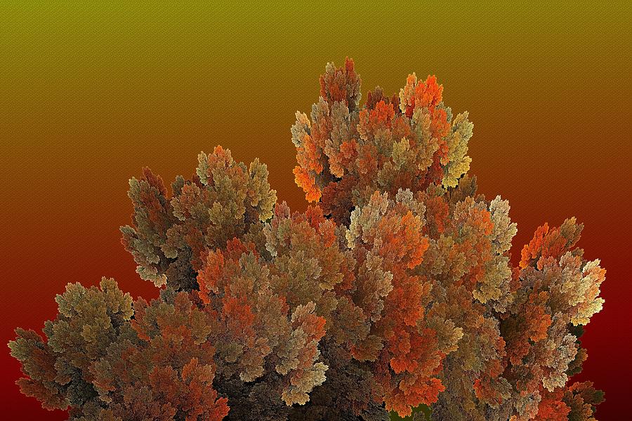 Callahan Grove Fall Sunset Digital Art by Doug Morgan