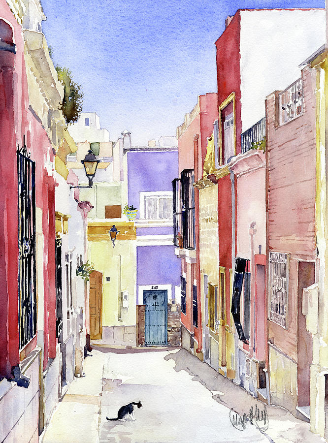 Calle en el Casco Antiguo Almeria Painting by Margaret Merry