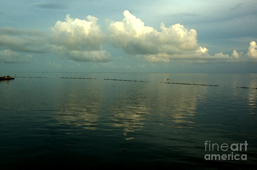 Calm - Florida Keys Photograph by Kathi Shotwell