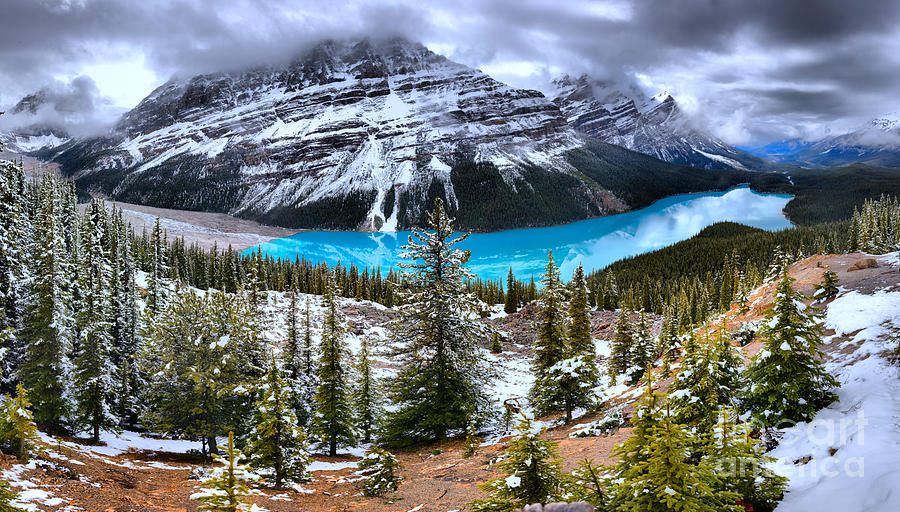 Calm After The Spring Storm At Peyto Photograph by Adam Jewell