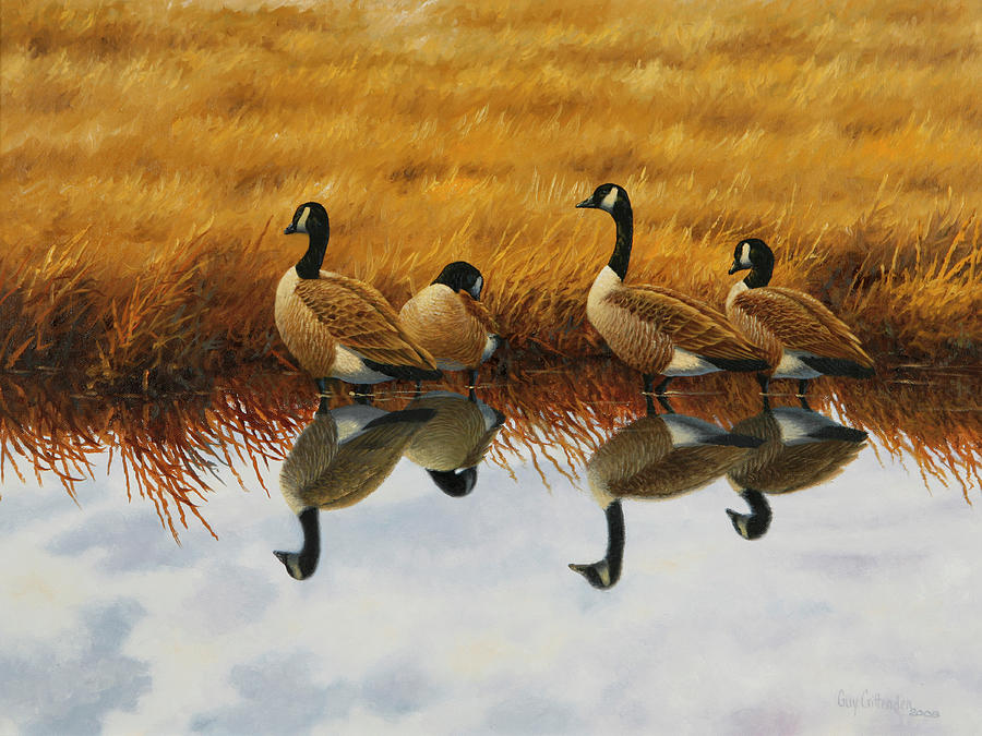 Calm Creek Canada Geese Painting by Guy Crittenden