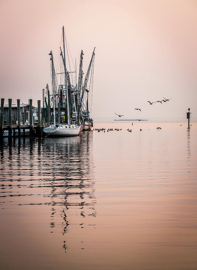 Calm Evening on Shem Creek Photograph by Donnie Whitaker