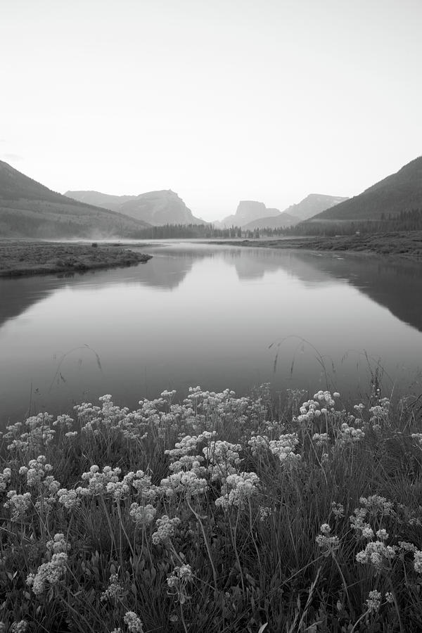 Black And White Photograph - Calm Morning  by Dustin LeFevre
