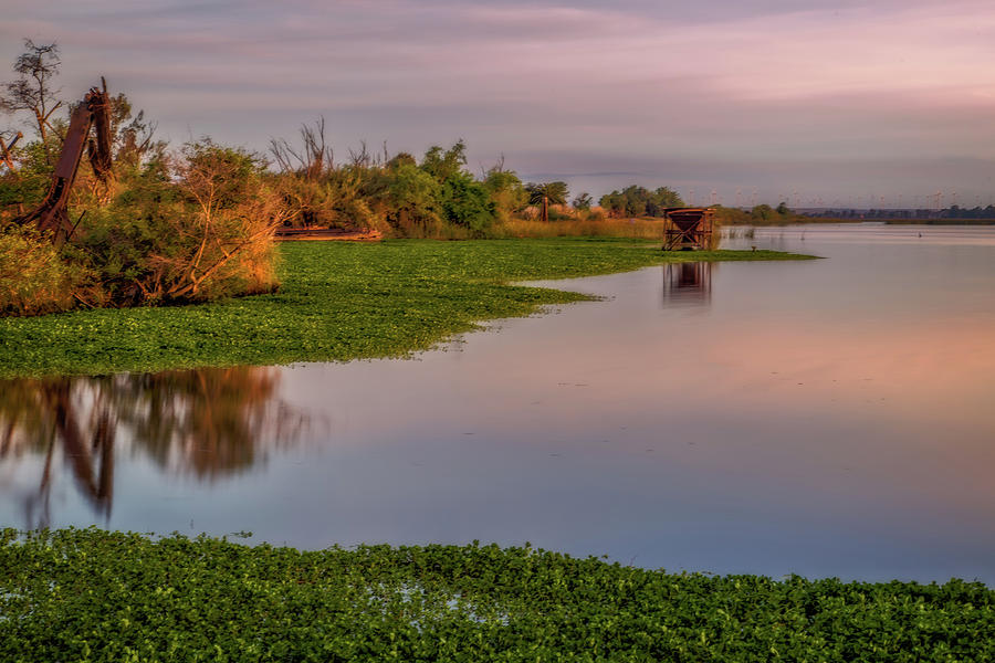 Calm Morning on the Delta Photograph by Marc Crumpler