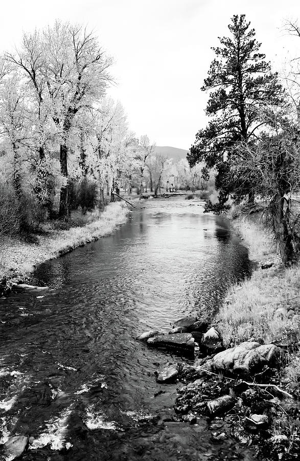 Calm River Black and White Photograph by Athena Mckinzie