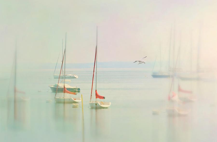 Calm the Sea Photograph by Diana Angstadt