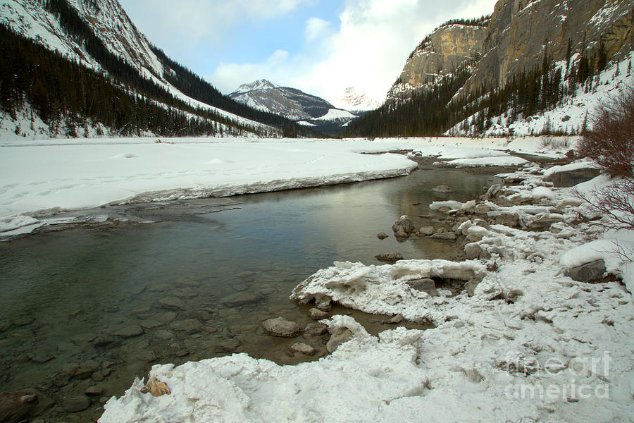 Calm Water Along The Icefields Parkway Photograph by Adam Jewell