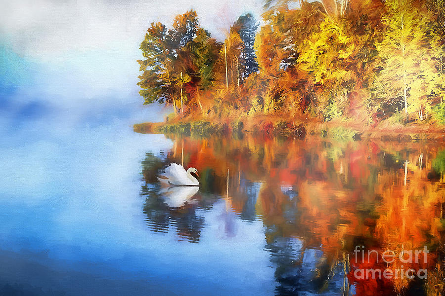 Swan Photograph - Calm Waters of Autumn by Darren Fisher