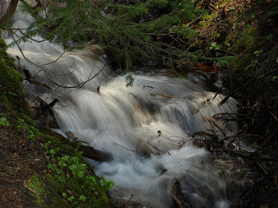 Calming Stream Photograph by DeeLon Merritt