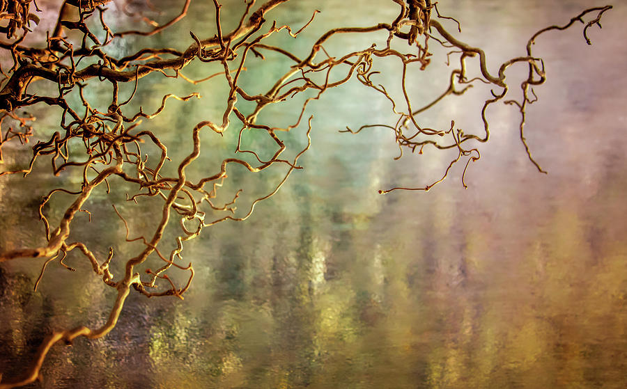 Water Reflections Photograph - Calming Waters From Heaven by Karen Wiles