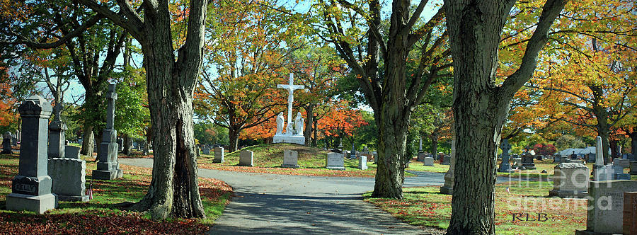 Calvary Cemetery in Waltham Photograph by Rita Brown