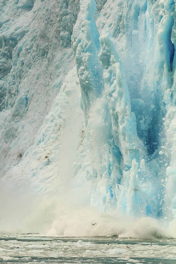 Calving Glacier in Kenai Fjord National Park Photograph by Joni Eskridge