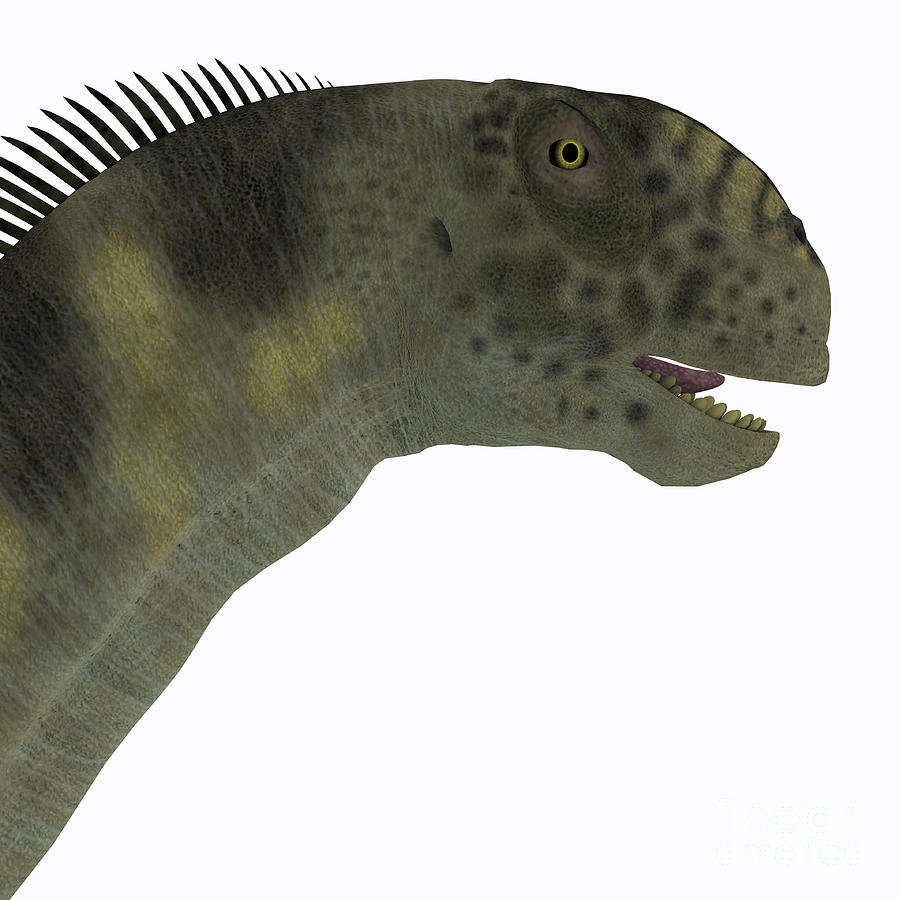 camarasaurus dinosaur