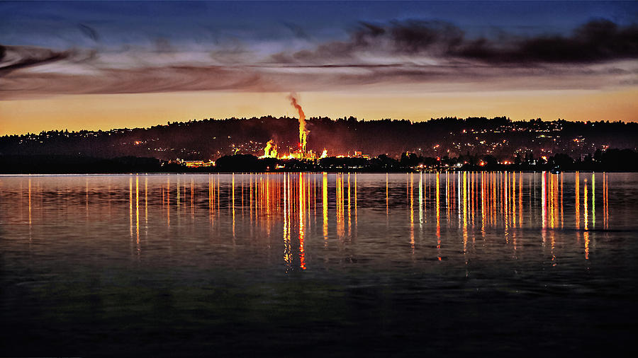 Camas on the Columbia Photograph by John Christopher Camas on the Columbia Photograph by John Christopher