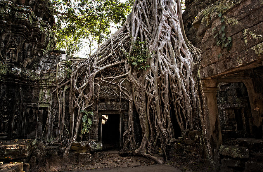 Cambodia Photograph - Cambodia 01 by Jamie Cain