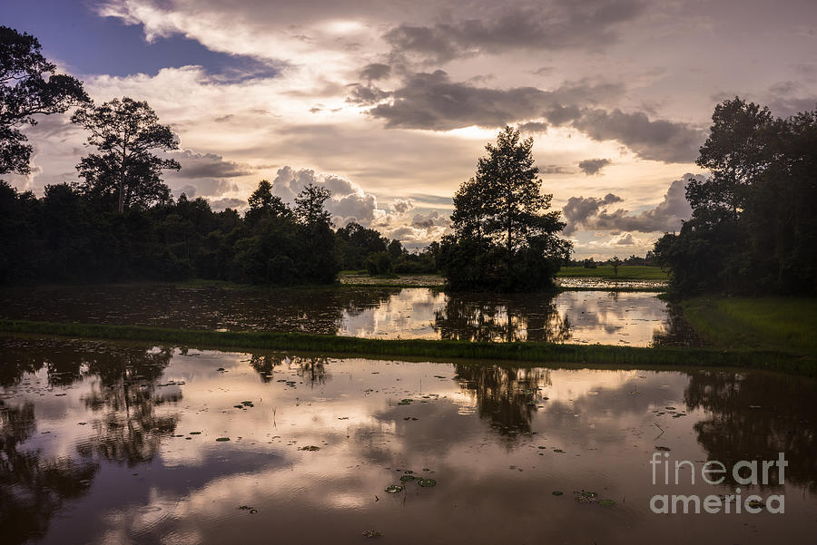 Cambodia Rice Fields Clouds Reflection Photograph