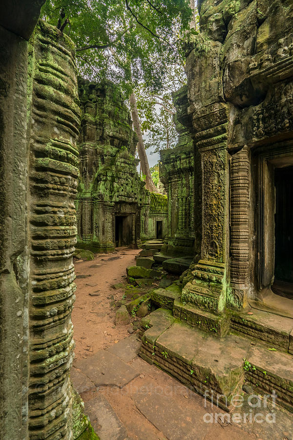 Cambodia Ta Phrom Ruins Photograph by Mike Reid