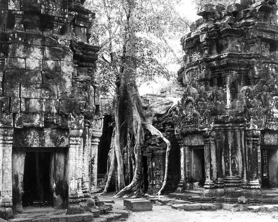 Cambodia: Ta Prohm Photograph by Granger