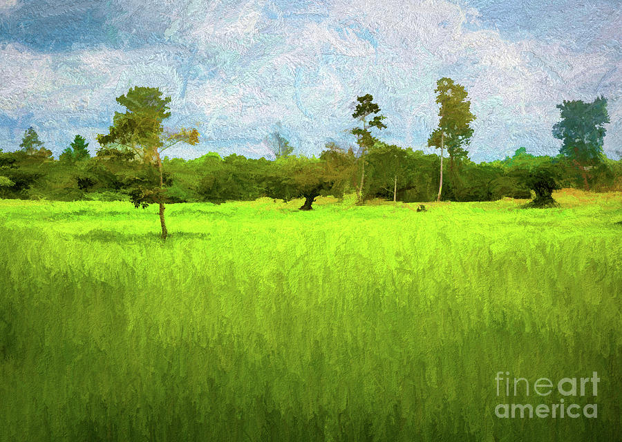 Cambodian Landscape Grass Trees Paint  Digital Art by Chuck Kuhn