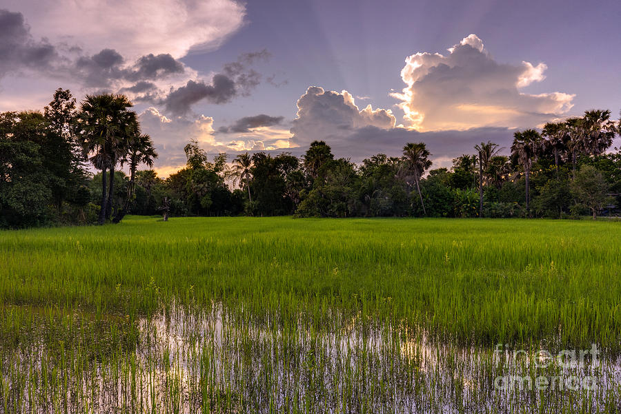 Cambodia Photograph - Cambodian Rice Fields Dramatic Cloudscape by Mike Reid