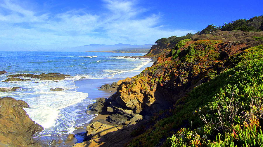 Cambria By The Sea Photograph by J R Yates