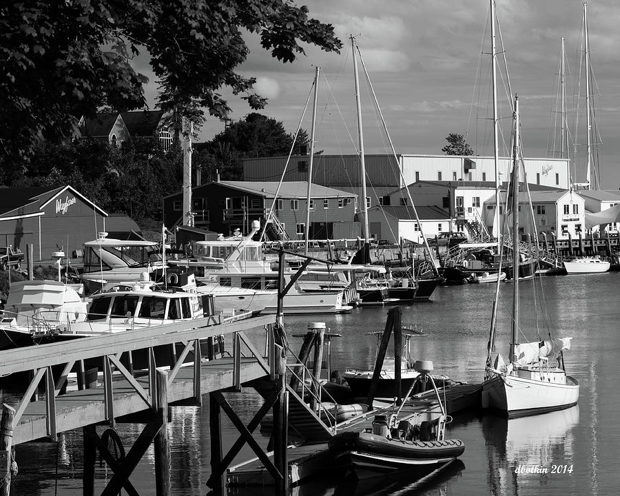 Camden Maine 5 Photograph by Dick Botkin