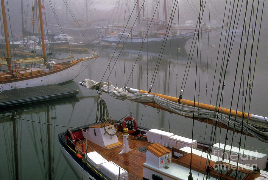 Camden Harbor in the fog Photograph by Kevin Shields
