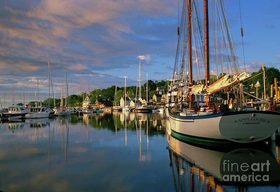 Camden Harbor at dawn Photograph by Kevin Shields