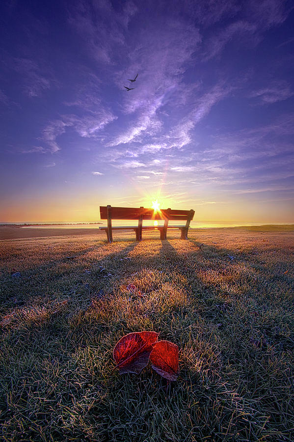 Came To Rest Photograph by Phil Koch