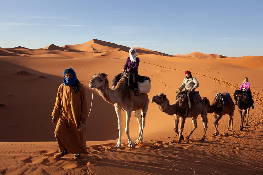 Camel Caravan Photograph by Aivar Mikko