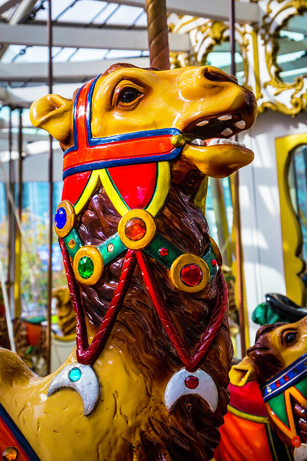 Camel Carrousel Ride Photograph by Garry Gay