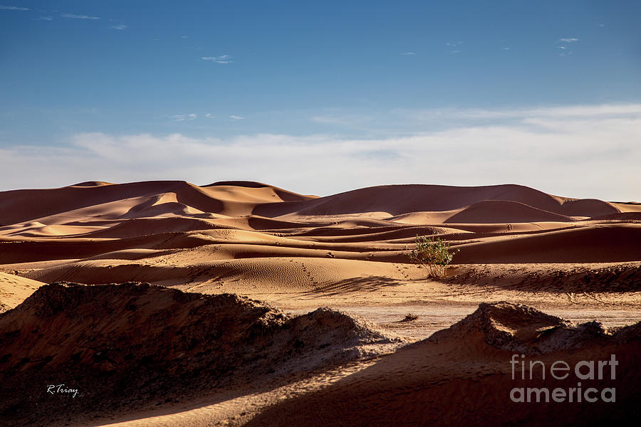 The Saharas Desert Dunes Photograph by Rene Triay FineArt Photos