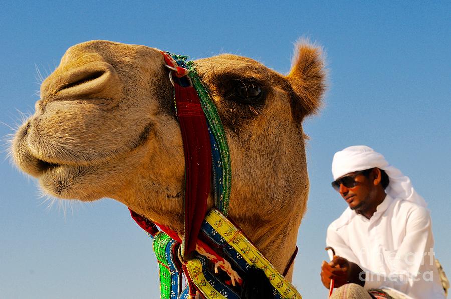 Camel Jockey Photograph by Kate Stoupas - Fine Art America