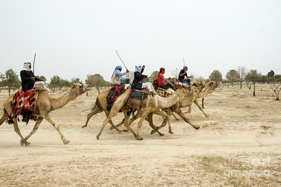 Camel race in the desert Photograph by Shay Levy