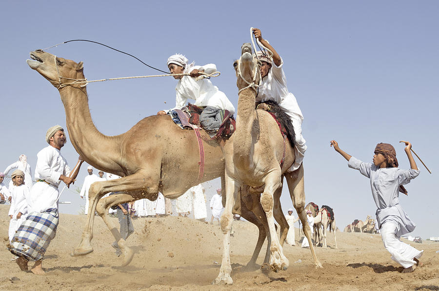 Camel Race Photograph by Salim Albusaidi