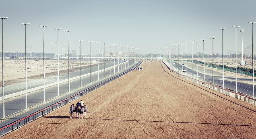 Camel racing track in Dubai Photograph by Alexey Stiop