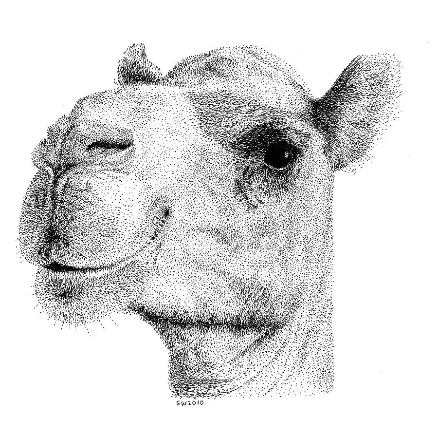 Premium AI Image | Pencil sketch cute camel animal draw AI Generated