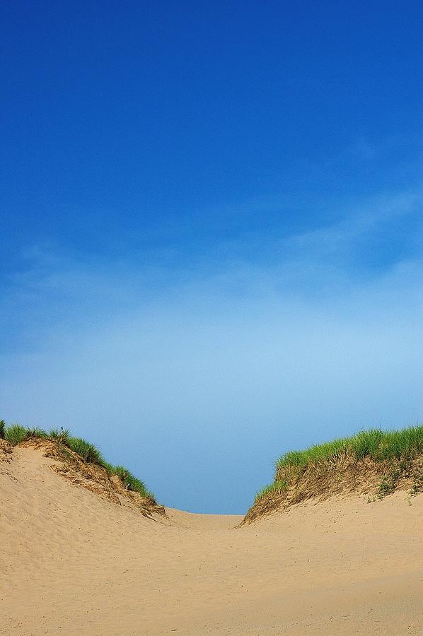Camelback Dune Photograph by Randy Pollard