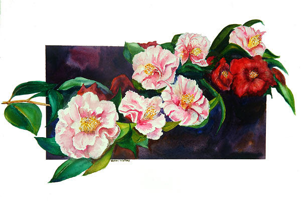 Camelias Painting by Bobby Walters