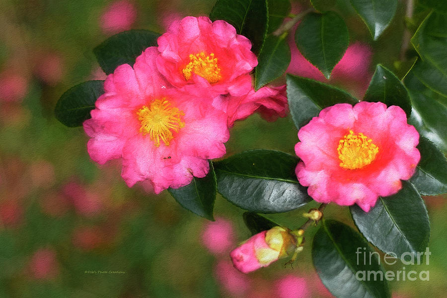 Flower Painting - Camellia Pink by Deborah Benoit