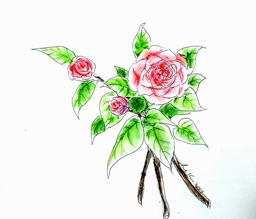 Camellia pp Drawing by Hae Kim