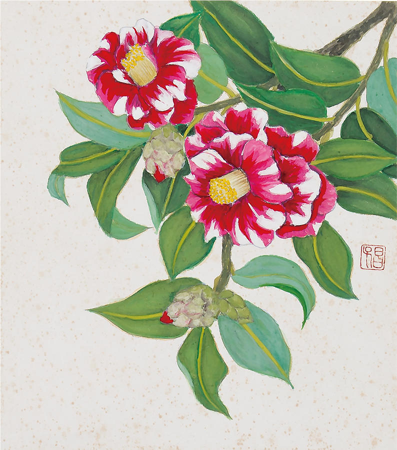Camellia Painting by Yoshiko Yamaguchi